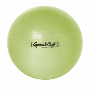 swiss ball biobase vert