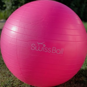 Swiss Ball fushia rose