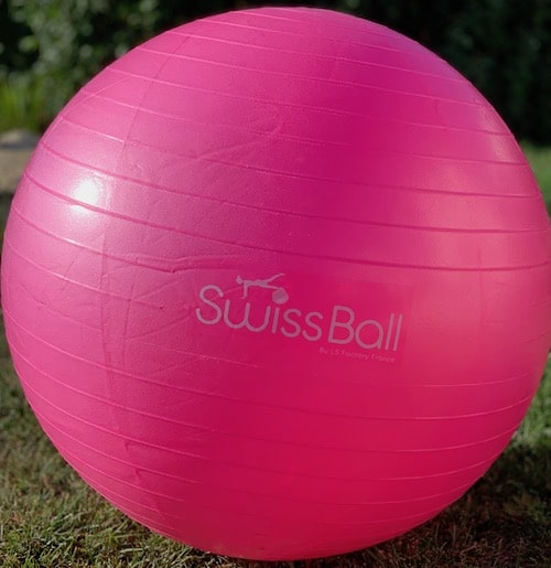 Swiss Ball fushia rose