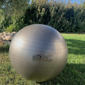 Swiss Ball gris fonce
