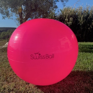 Swiss Ball rose fluo