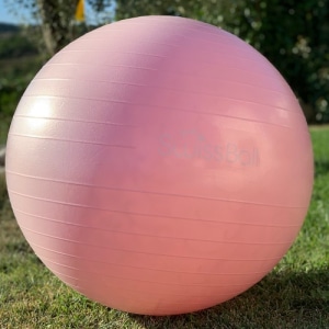 Swiss Ball rose pale