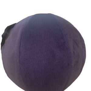 Housse Swiss Ball violet