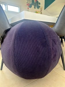 housse swiss ball violette