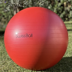 Acheter swiss ball d'occasion à petit prix